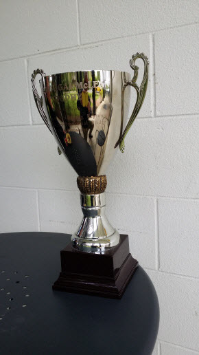 Dougal McLean Trophy